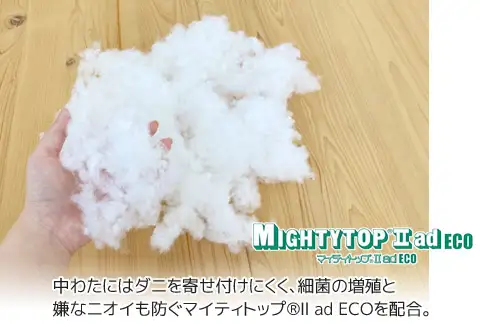 ヌード 中材 背当クッション 帝人 防ダニ 抗菌防臭2個セット_【G0813】