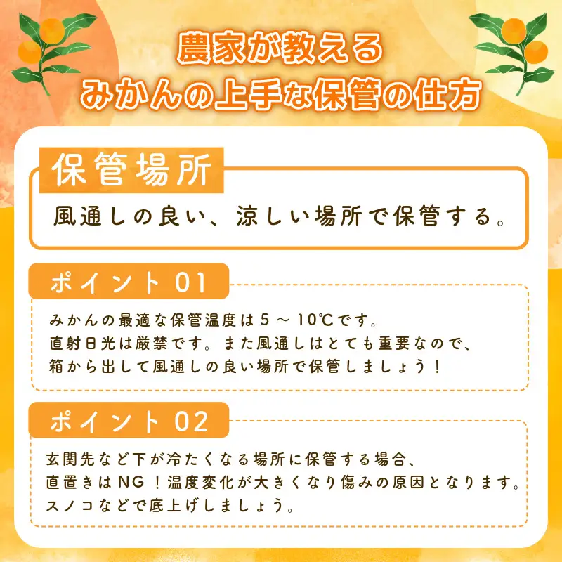 【2026年10月下旬順次発送】　みかん 5kg 温州みかん S~Lサイズ 小松島市