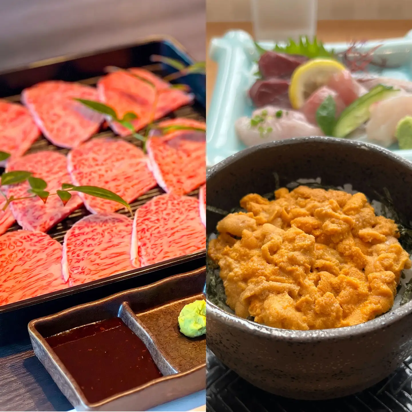壱岐牛 生うに うにくセット 肩ロース500g 生うに60g JEI008 焼肉
