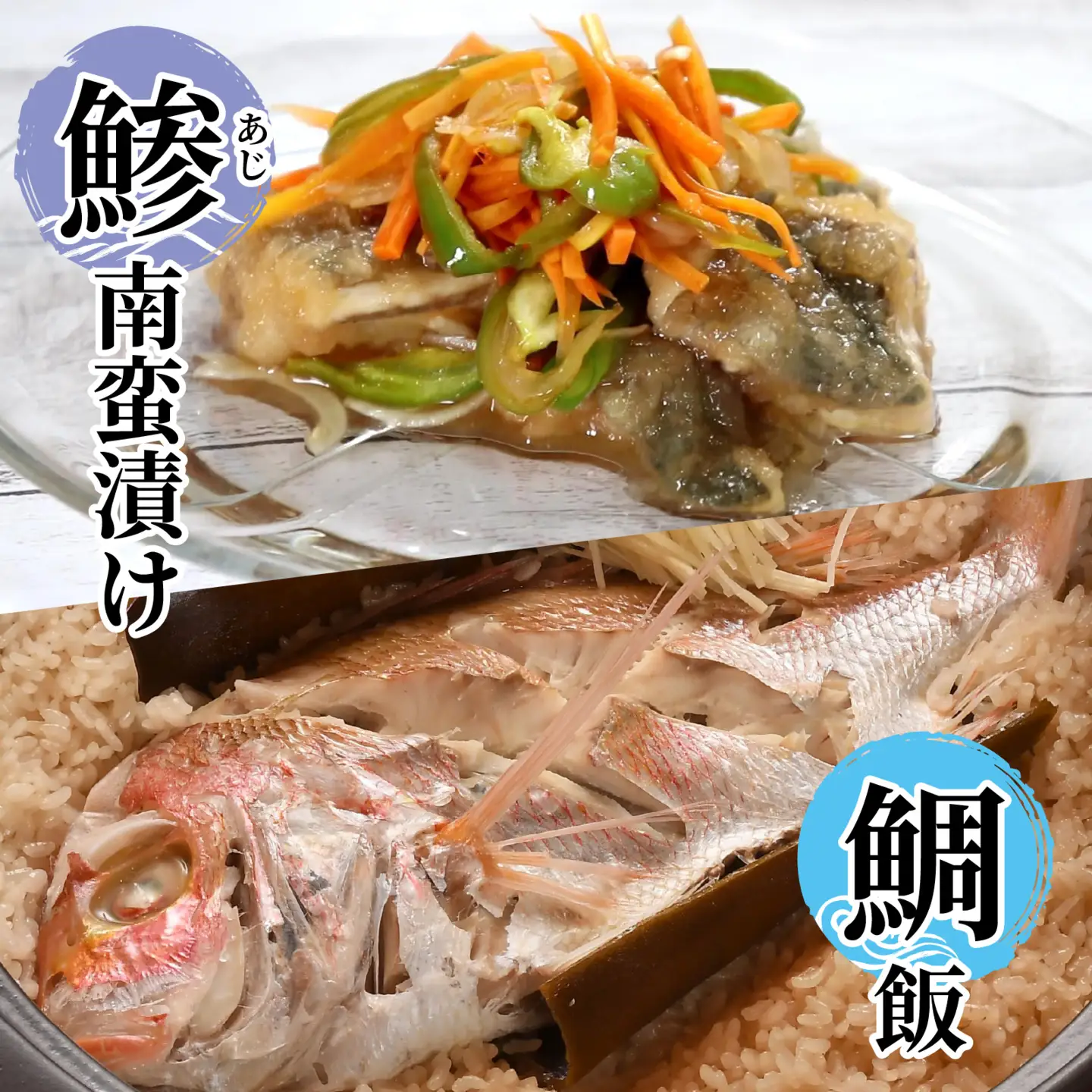 若狭湾鮮魚セット（下処理なし）おまかせ3kg以上（3～6魚種）【1月配送】  