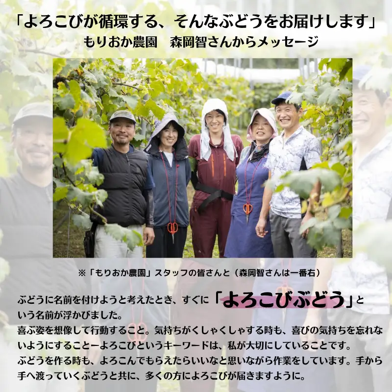 【家庭用】 もりおか農園のよろこびぶどう ピオーネ＆シャインマスカット 約2kg 3～5房 【先行予約 2026年10月上旬から順次発送】