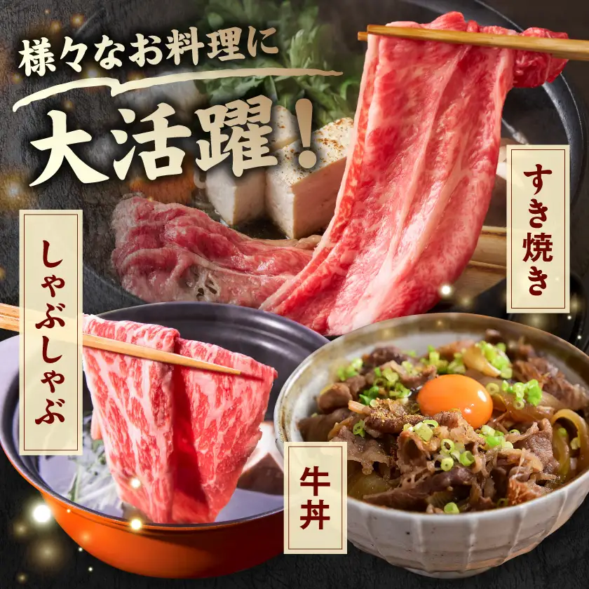 宮崎県産宮崎牛ローススライス1kg〔AE-89-009-1kg〕_(都城市)