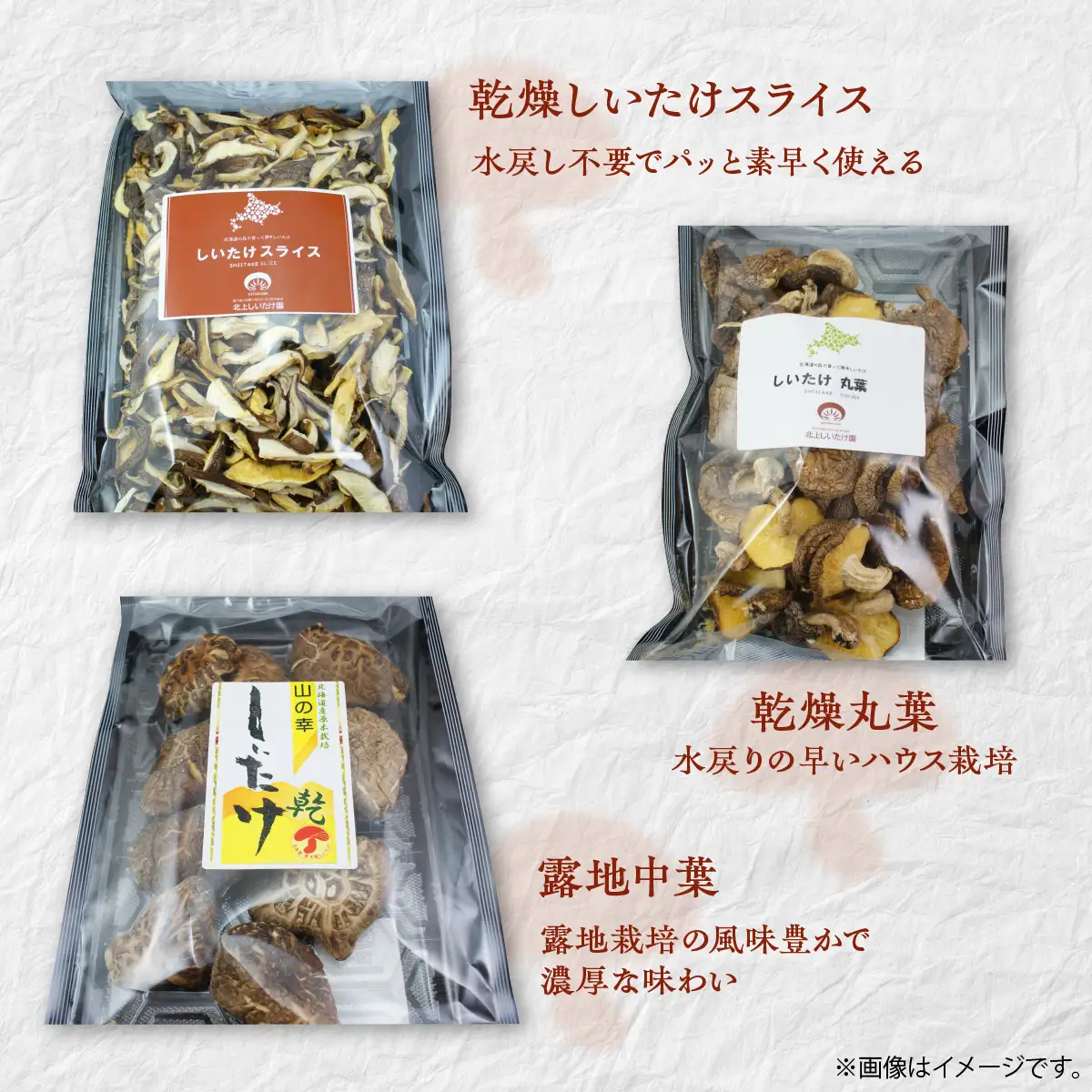 美味しさ詰まった貴重な原木しいたけ詰め合わせ　Aセット MKWN001