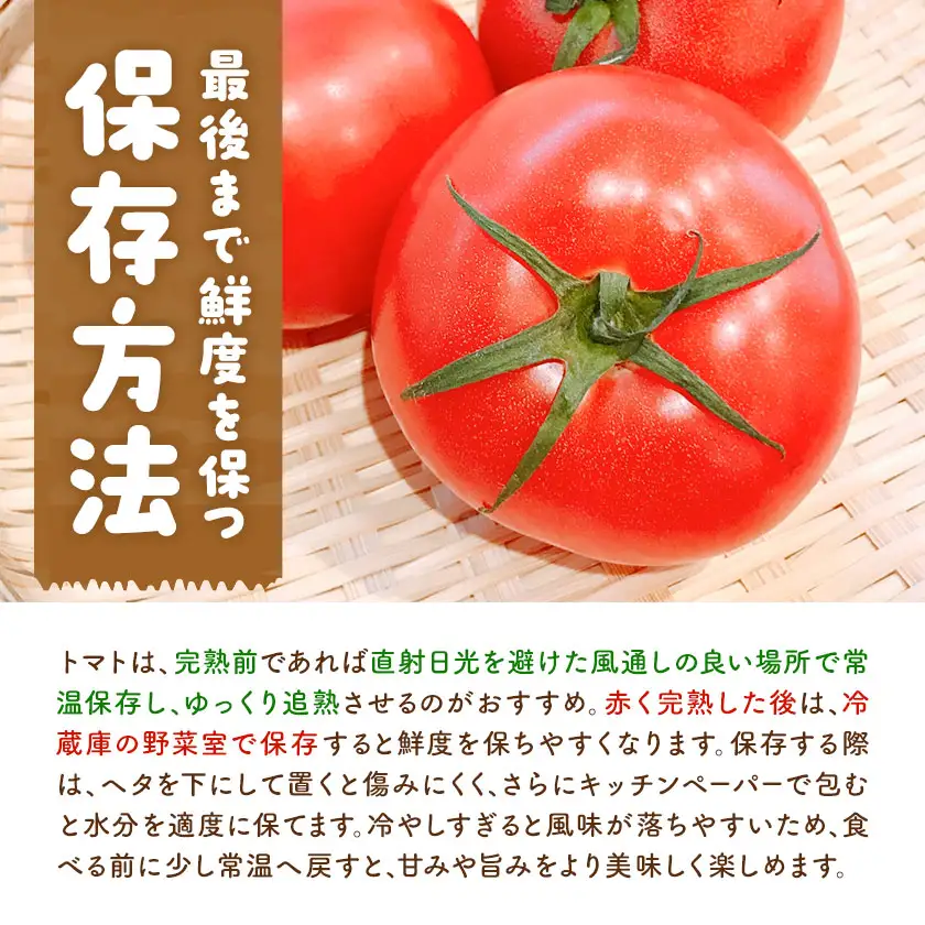 【大津アグリラボ】大玉トマト かれん 約1kg 株式会社中九州クボタ《10月上旬-6月下旬頃出荷》熊本県 大津町 トマト 大玉 野菜