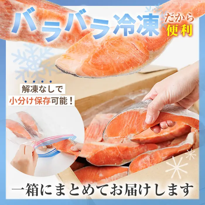【定期便・全6回(連続)】訳あり 厚切り 塩 銀鮭 切り身(総計6kg・1kg×6回)   塩鮭 簡易包装 冷凍【YS-7】【株式会社安田】