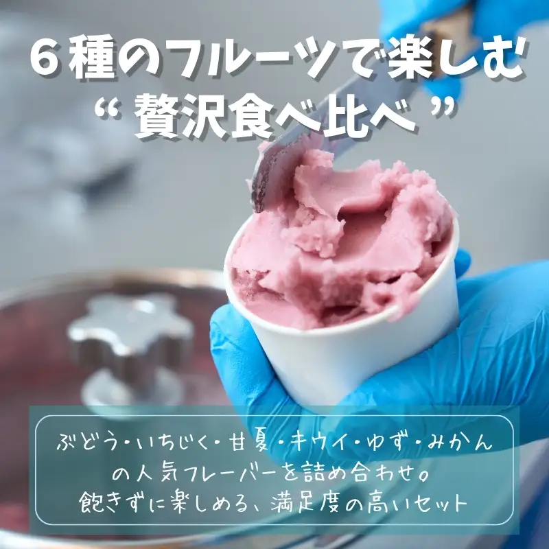 フルーツのジェラート6種セット 各120ml 12個