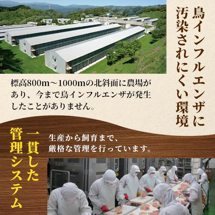 《３営業日以内に発送！》愛知県産 銘柄鶏 奥三河どり もも肉 ２Ｋｇ 手羽 国産 冷凍 生 チキン クリスマス パーティー バーベキュー BBQ アウトドア キャンプ チキン 鶏肉 鶏 平飼い -282
