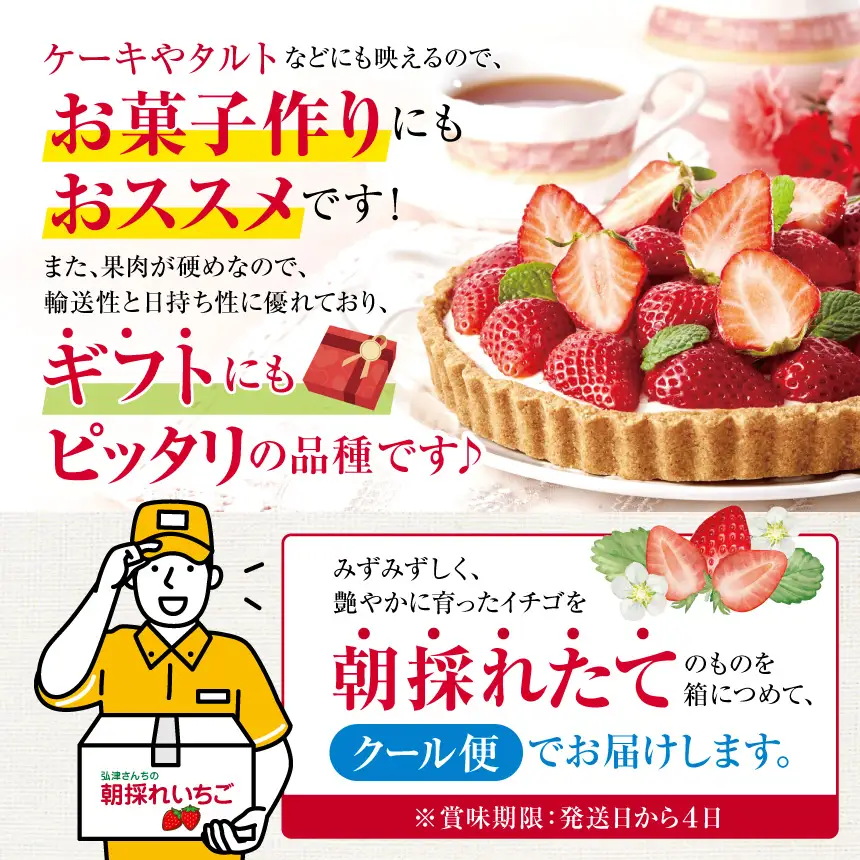 【先行予約】弘津さんちの朝採りイチゴ さちのか約1㎏ ※令和9年1月中旬～3月発送