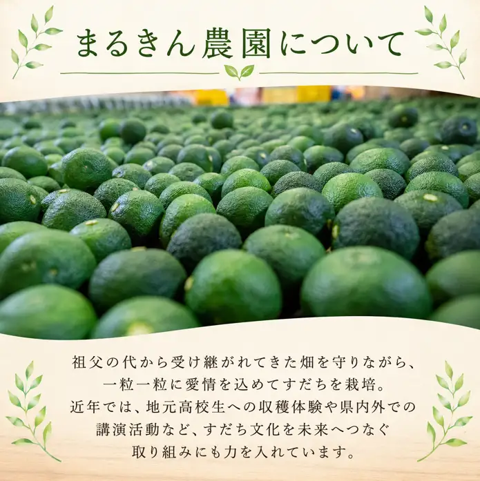 露地すだち 1kg すだち 【8月中旬から9月末発送】 徳島県産