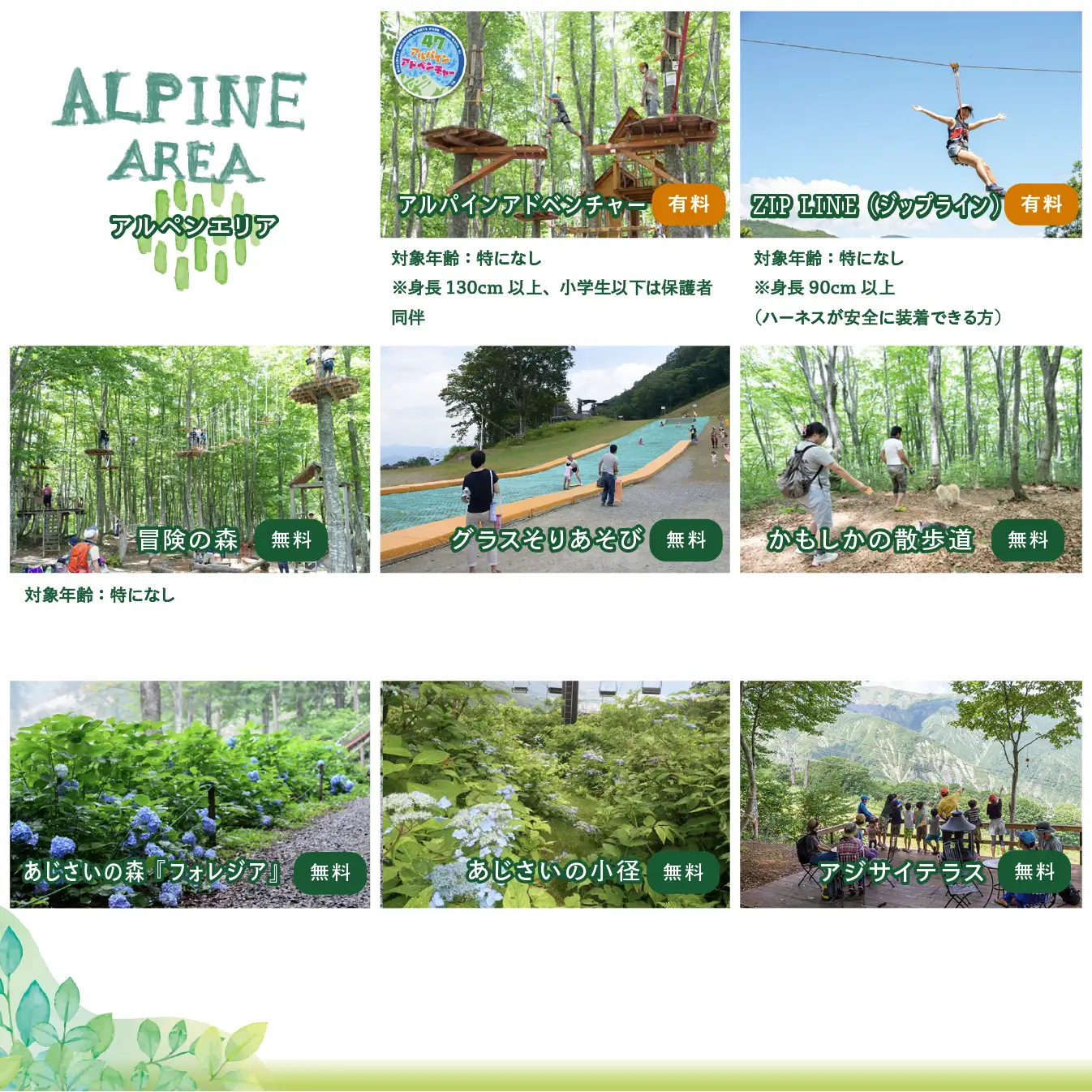 【体験チケット】Hakuba47  ゴンドラ往復乗車券 大人1名様 / 長野県白馬村