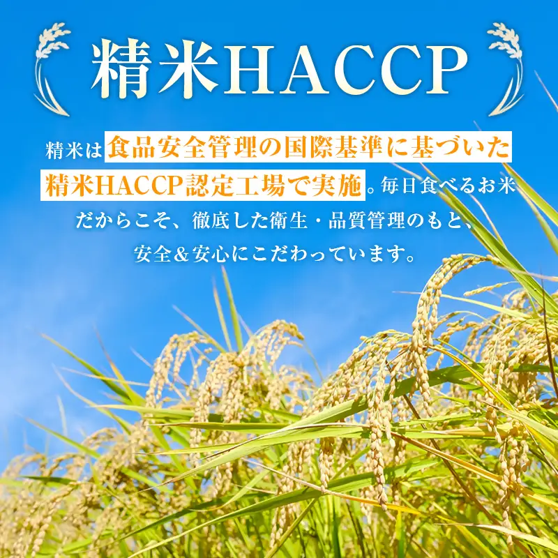 【8月発送開始】令和8年産　宮崎県産無洗米コシヒカリ2㎏　新米　<18-53a＞