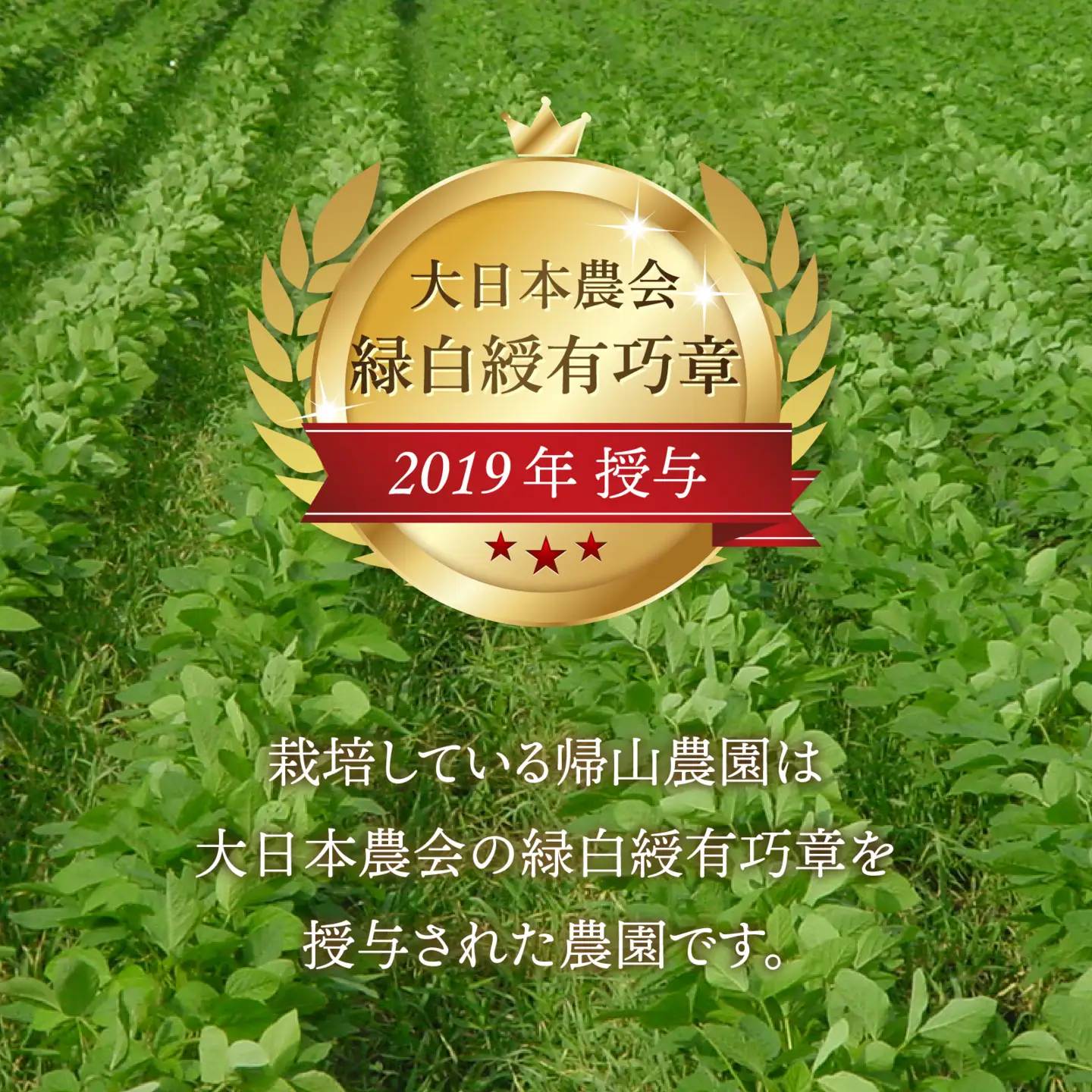 青大豆 赤大豆 厳選大粒豆セット 計2kg