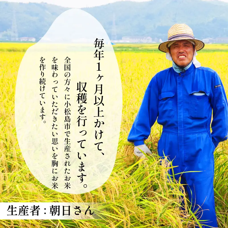 【9月から順次発送】新米 10kg にじのきらめき 令和8年産 コシヒカリ に匹敵 白米 ご飯 