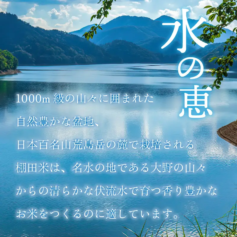 【令和8年産 新米】【3ヶ月定期便】越前大野産 一等米 帰山農園の「つきあかり」5kg 白米