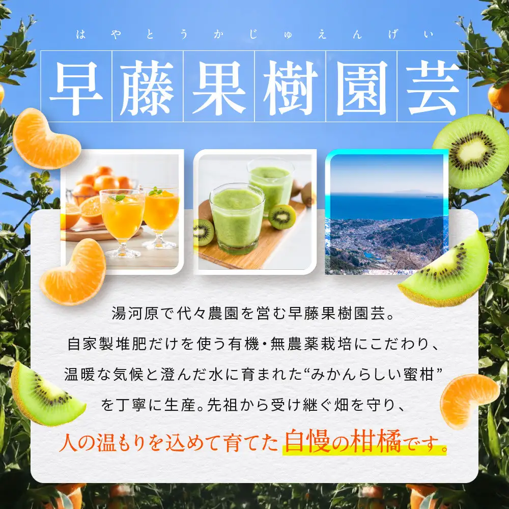 有機みかん果汁100%ジュース+キウィフルーツ果汁80% | 湯河原町 有機農園 手作り みかん キウイ ジュース