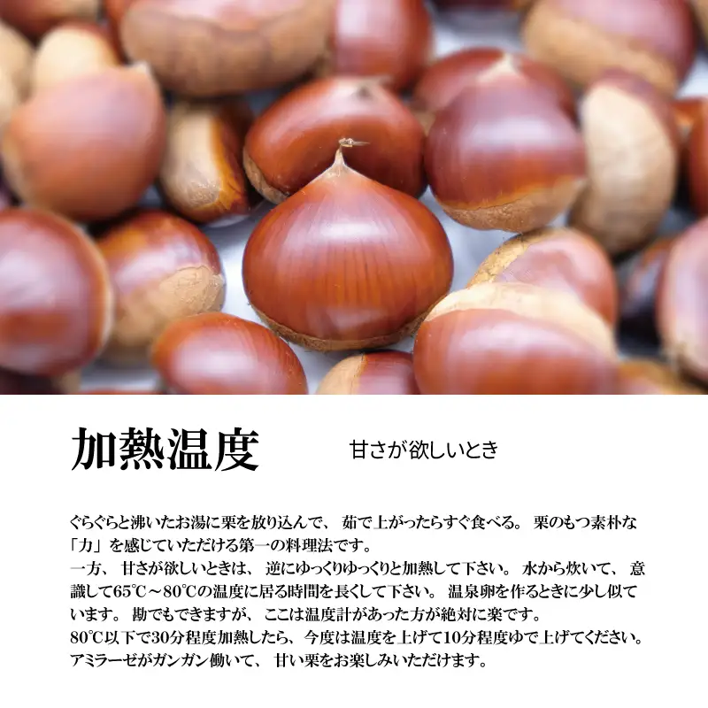 丹波くり 4L 500g とれたて / 栗