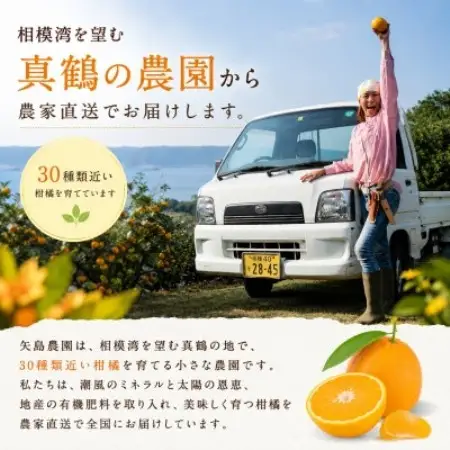 【矢島みかん農園】手剥きみかん丸ごと100%ジュース720ml×3本　みかん農園直送～自然なままの味【1762626】