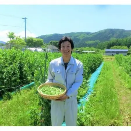 完熟ミニトマト 詰め合わせ 1.5kg 栽培期間中農薬不使用 岩手県遠野市 遠野もぐもぐカントリー【配送不可地域：離島】【1763107】