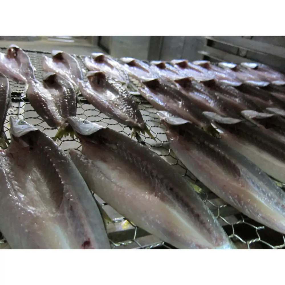 小田原かますのひもの詰合せ600g　SK-10