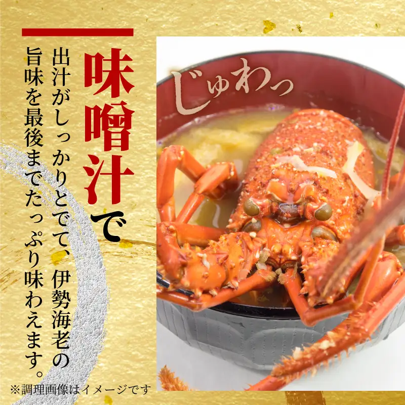 (冷凍) 訳あり 伊勢海老 3尾 加熱用 約1.0kg 伊勢 海老 エビ 伊勢エビ 訳アリ品 訳アリ 海鮮 海の幸 肩身焼き お味噌汁 焼き物 鍋 伊勢志摩 三重県 南伊勢町 丸池 38000円 三万八千円 40000円以下 四万円以下 