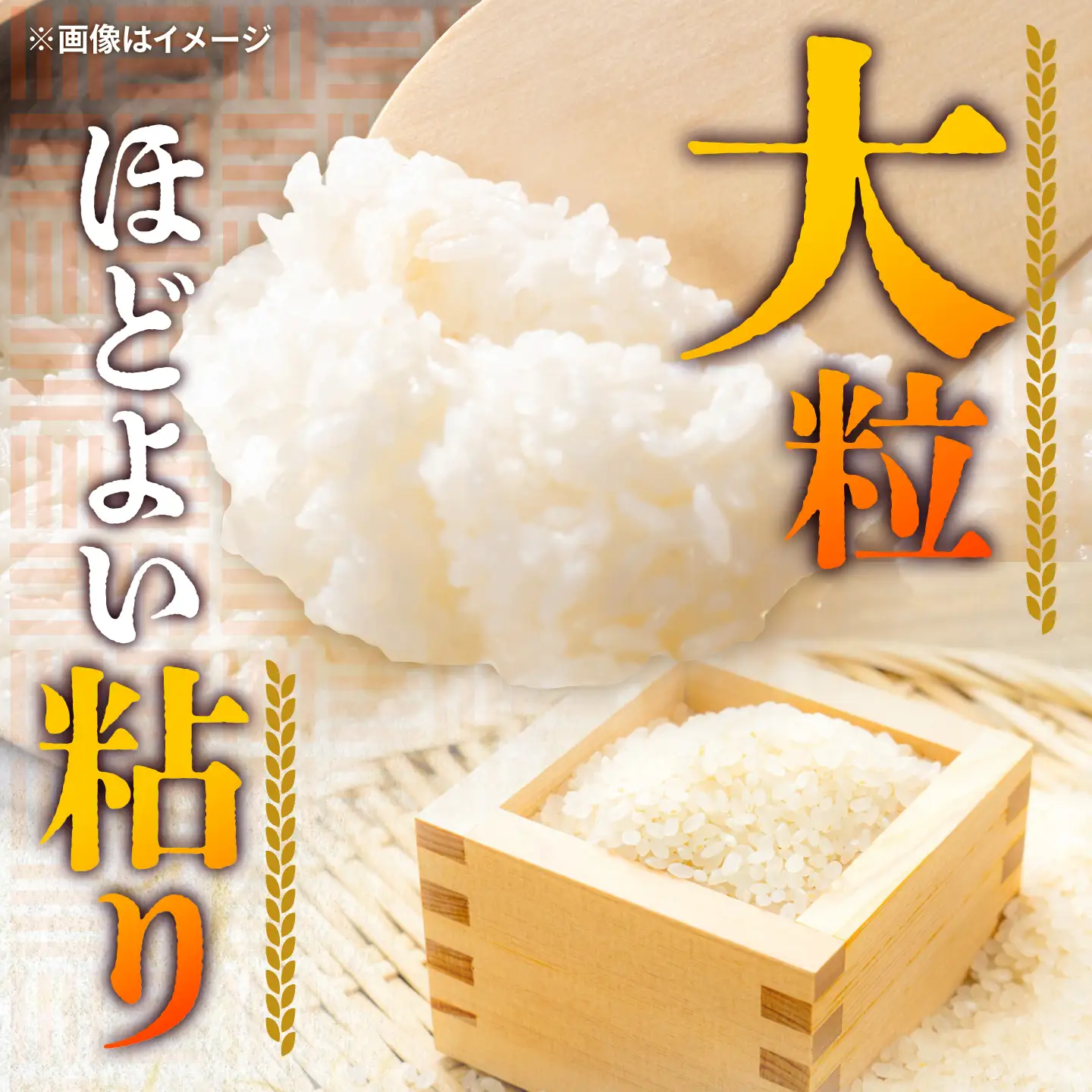 【先行予約 /10月下旬以降発送】にじのきらめき 米 10kg [BFAG031]