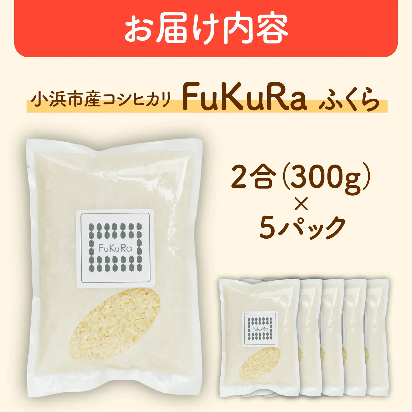 福井県産 こしひかり 『FukuRa』（ふっくら） 2合パック×5パック （300g×5袋） 合計1.5kg[BFAV017]