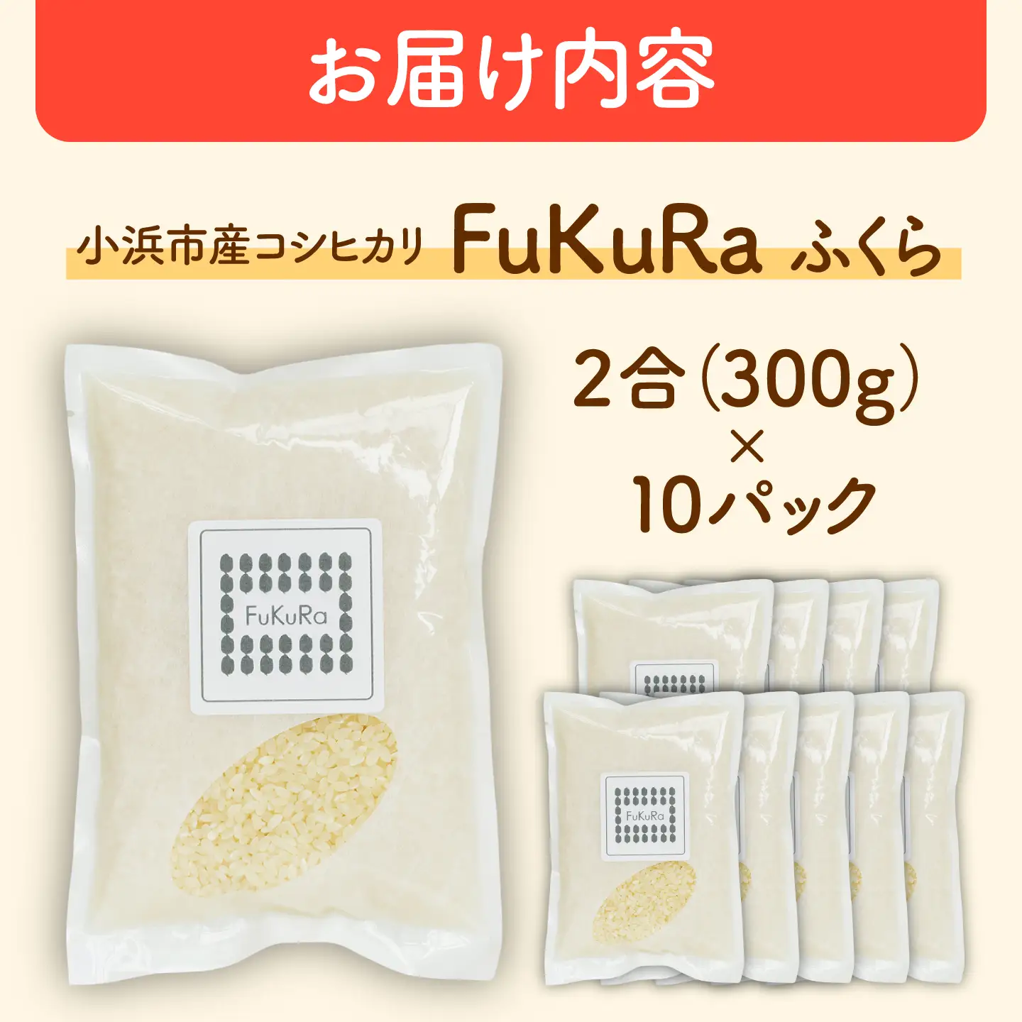 福井県産 こしひかり 『FukuRa』（ふっくら） 2合パック×10パック （300g×10袋） 合計3.0kg[BFAV018]