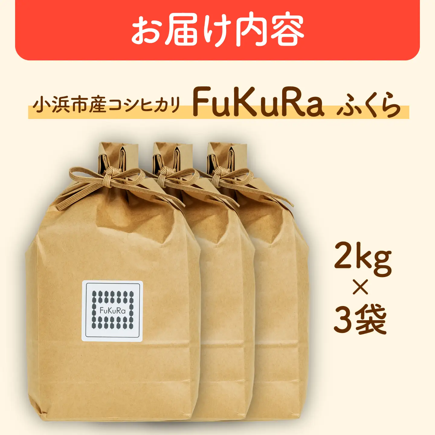 福井県産 こしひかり 『FukuRa』（ふっくら） 2kg×3袋 合計6.0kg[BFAV020]