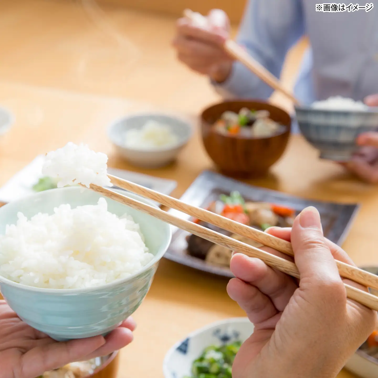 【先行予約/10月以降配送】【令和8年産】福井県 小浜産 にじのきらめき 米 10kg [BFDI004]