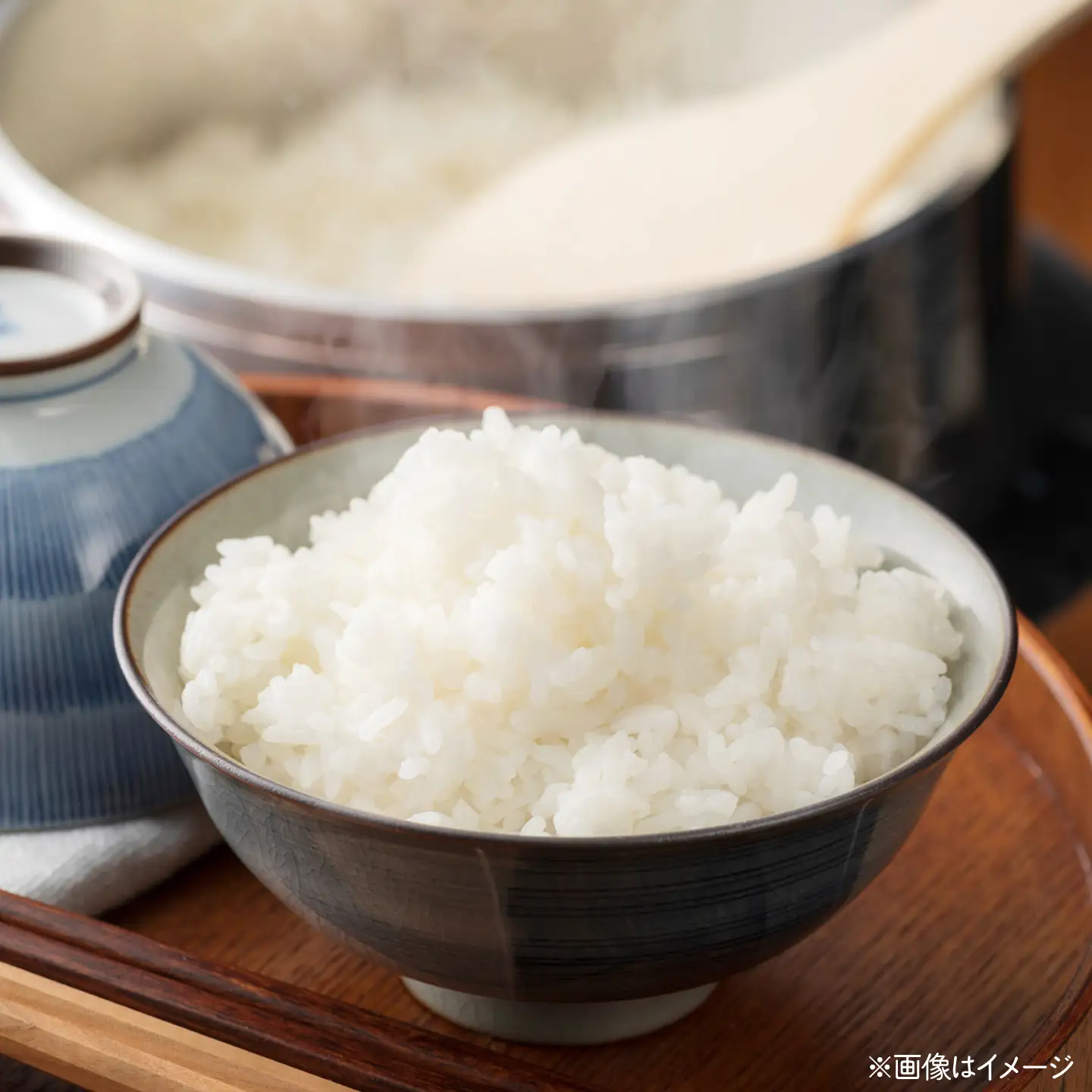 【先行予約/9月中旬以降発送】【令和8年産】小浜のハナエチゼン 米 10kg（5kg×2袋）市左衛門米屋 / 小浜市 [BFEN002]