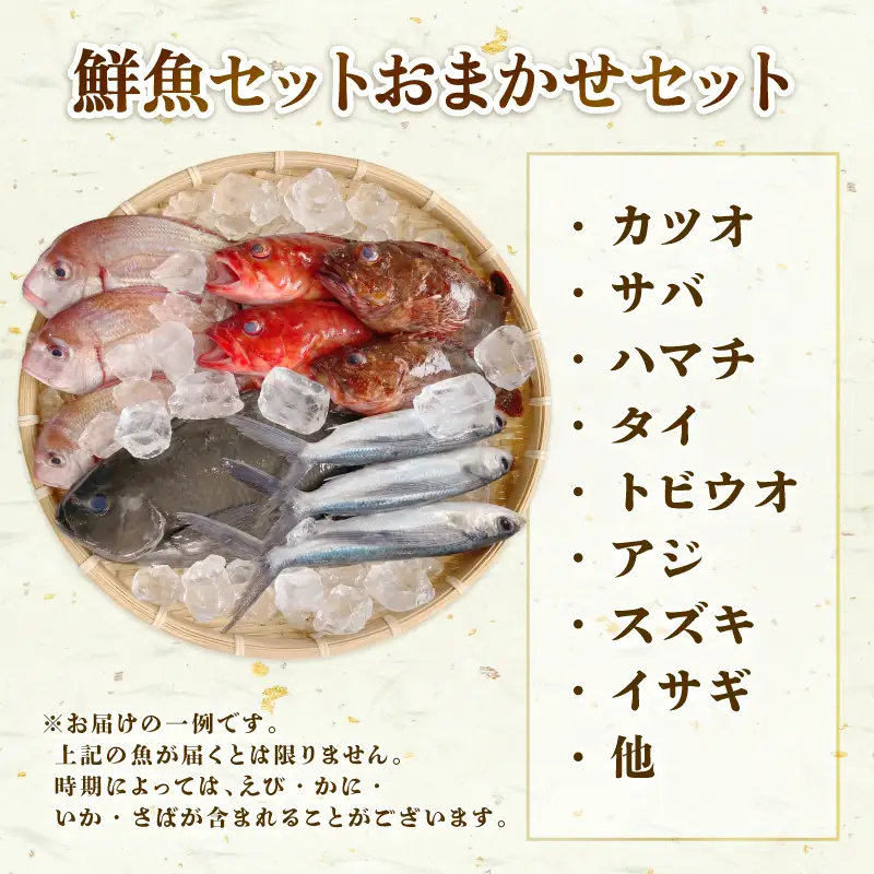 (冷蔵) おまかせ 鮮魚セット 2～3人前 鮮魚 海鮮 セット 海の幸 魚介 詰め合わせ 食べ比べ グルメ 魚 伊勢志摩 三重県 南伊勢町 丸池 18000円 20000円以下 2万円以下 二万円以下