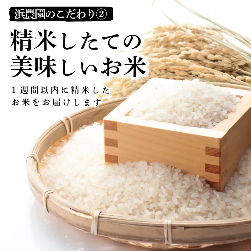 【2026年9月順次発送】新米 特別栽培米 にじのきらめき 白米1.5kg 小松島市 お米 こめ kome 精米 ご飯 ごはん 減農薬 米 1.5kg 小分け