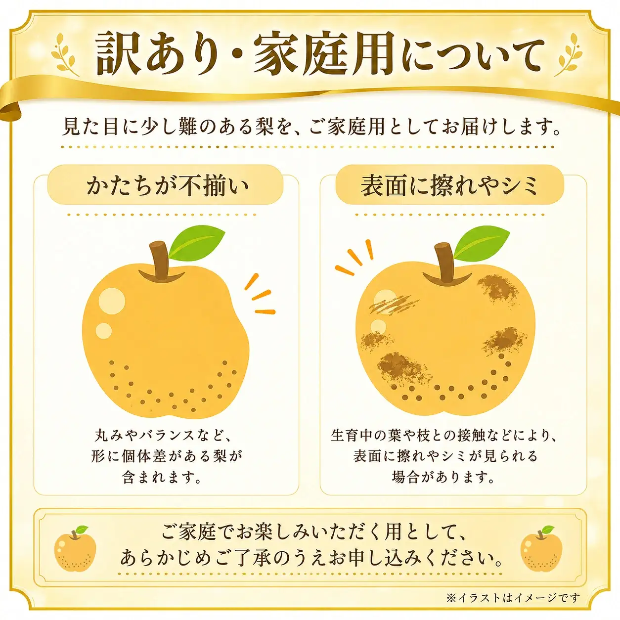 幸水3kg 贈答用