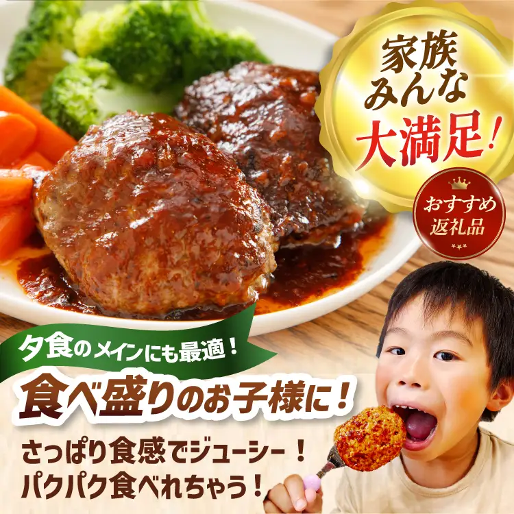 6回 定期便 レンジで簡単 ハンバーグ 60g 50個 総計 300個 総重量 18kg