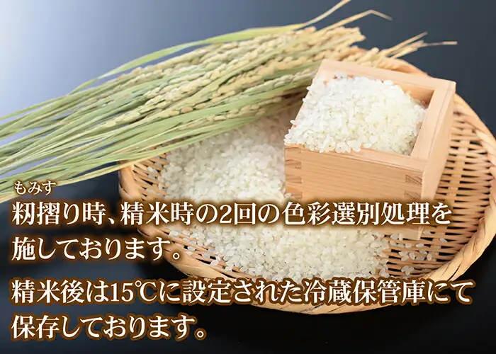 新米先行予約！【令和8年産】 福井県越前市産にこまる　福井県特別栽培米　10kg