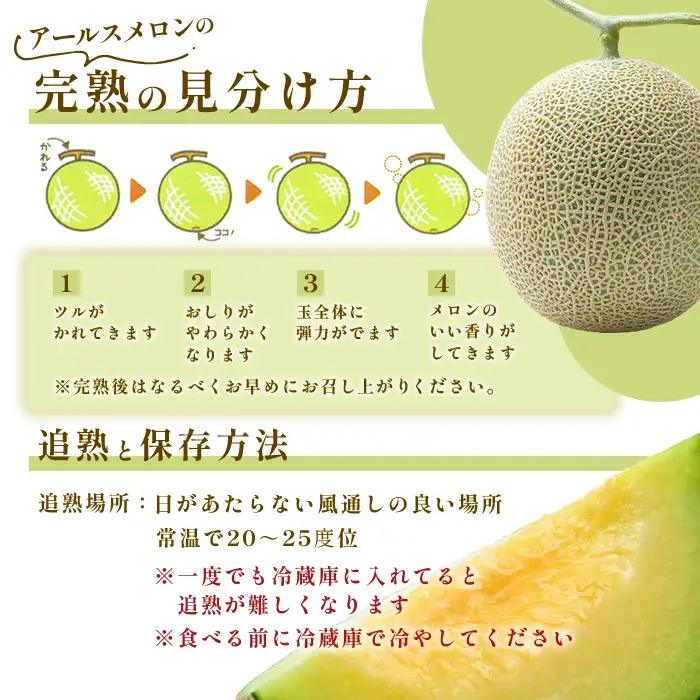 768 アールスメロン 秀品1玉（4L～5L）茨城県 JA水戸 フルーツ 果物