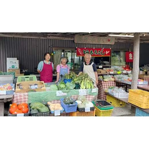 【 2026年 8月上旬 発送開始 】キャベツ 入り！農家さんが選んだ 新鮮 高原 野菜 セット 1～2人様向け 先行予約  キャベツ 群馬 野菜 セット 産地直送 詰め合わせ アソート 期間限定 少量 [AN001tu]
