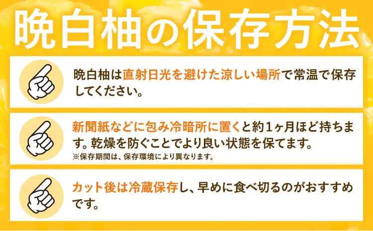 柑橘 晩白柚  3L 1玉 2.5kg 日本フルーツ株式会社