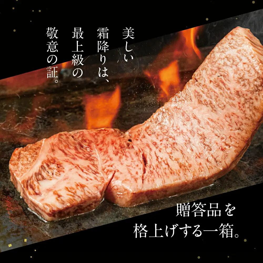 [A5等級] 飛騨牛 ステーキ サーロインステーキ 200g×2枚 ステーキ