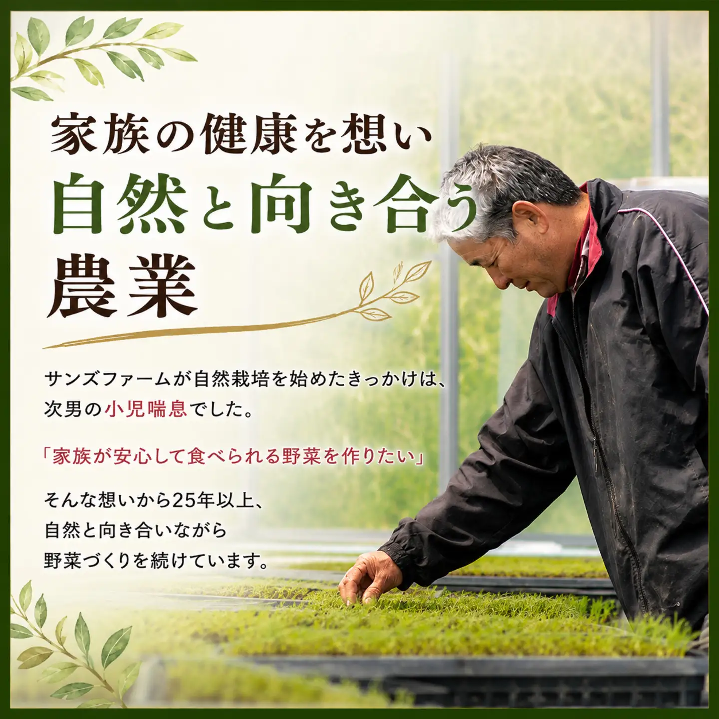 定期便 旬野菜セット 全6回 隔月