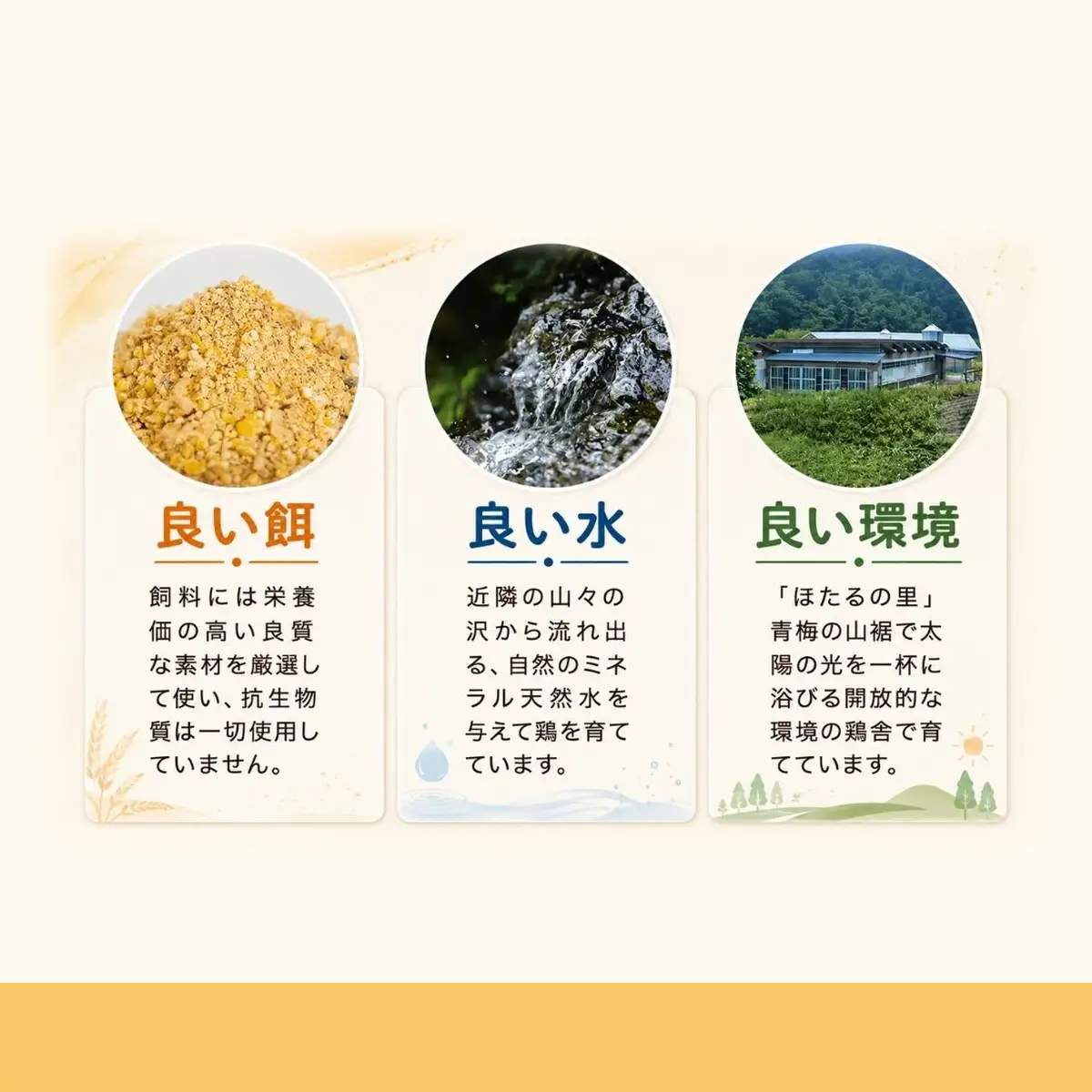 かわなべ鶏卵農場のこだわりのたまご 30個 もみじたまご 青梅市