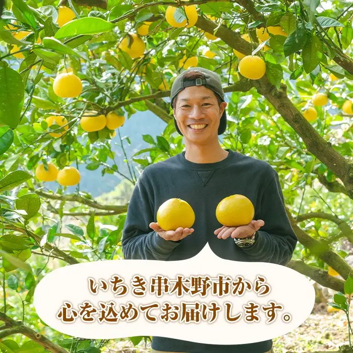 不知火 3kg箱 バラ詰め（磯部農園）※配送指定不可 | みかん 不知火【01-102-02】