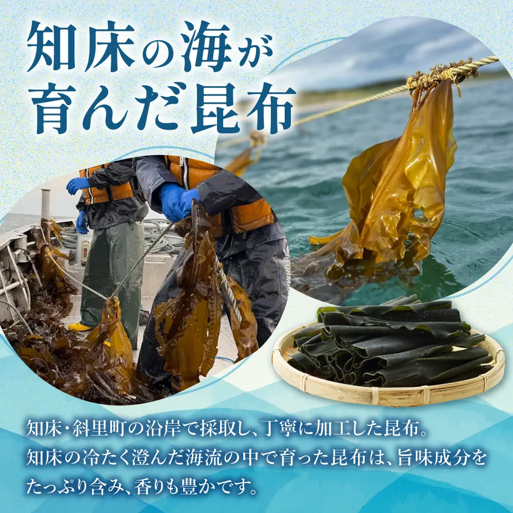【知床産・無添加天然昆布100%】知床昆布粉末 25gひと振りで旨みが決まる万能だし | 昆布 出汁 無添加 天然 北海道 斜里町