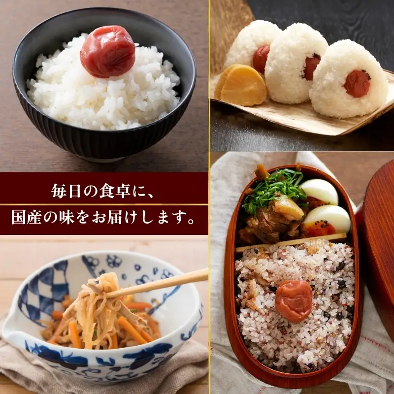 なつかしの味 梅干し 各140g（小梅3パック、南高梅3パック）＆手作り切り干し大根 40g×3パック