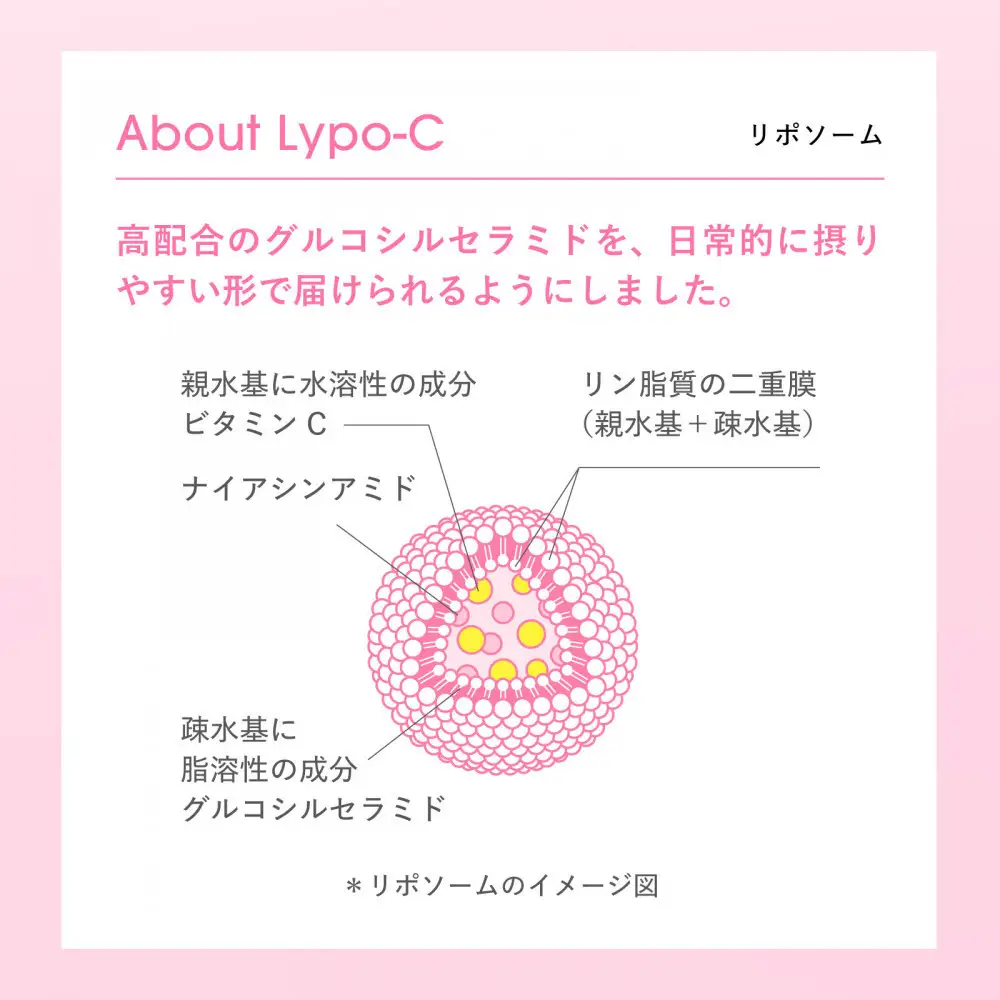 【12ヶ月定期便】【Lypo-C】リポ・カプセル ビタミンC＋Cera（28包入） 2箱