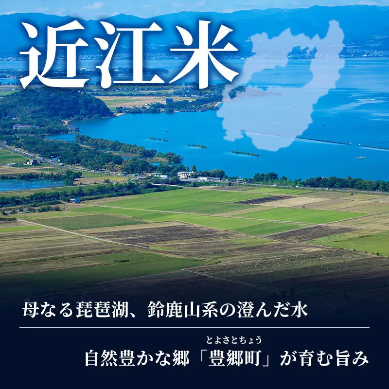 【令和8年産】 米 定期便 コシヒカリ 白米 5kg 先行予約 新米 こしひかり 6回定期便 精米 こめ コメ お米 ご飯 米定期便 6か月定期便 6ヶ月定期便 6回 6ヶ月 6か月 滋賀県 豊郷町