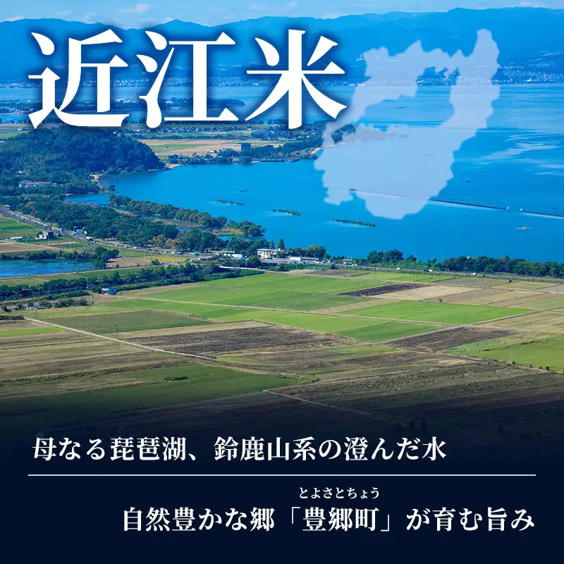 【令和8年産】 米 定期便 近江米 白米 5kg 先行予約 新米 きぬむすめ 12回定期便 精米 こめ コメ お米 ご飯 キヌムスメ 米定期便 12か月定期便 12ヶ月定期便 12回 12ヶ月 12か月 滋賀県 豊郷町