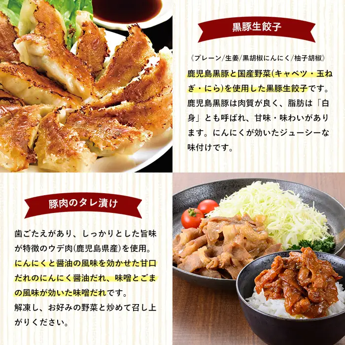 冷凍 惣菜 詰め合わせ セット 鹿児島県産 豚肉使用 たれ漬け豚肉 2種と 黒豚餃子 4種 お惣菜 【01-008-40】