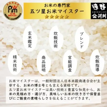 【毎月定期便】〈無洗米〉岩手県 遠野市産 いわてっこ 10kg 【 コメマルシェ 河判 】全6回【4089962】