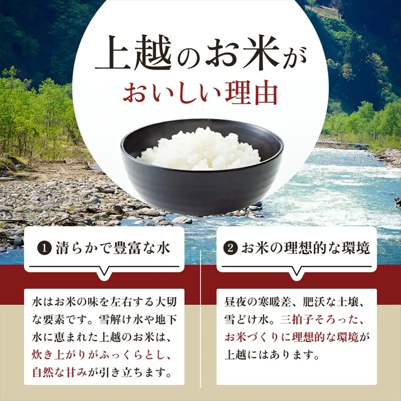 【最短3日発送】コシヒカリ 無洗米 上越産 10kg 精米 コシヒカリ